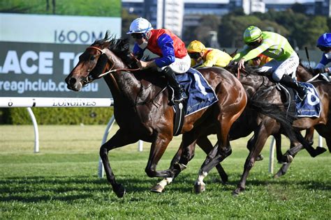 Bondi Stakes 2021 .